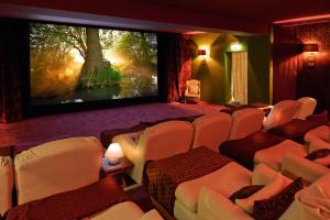 una sala de cine con sillas y una pantalla grande en BLEICHE RESORT & SPA en Burg (Spreewald)