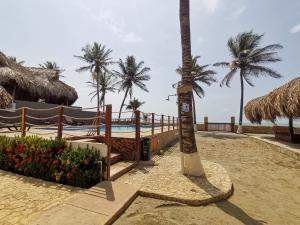 uma praia de areia com uma palmeira e uma piscina em Dúplex de lujo con vista al mar em San Bernardo del Viento