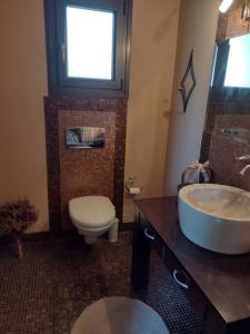 a bathroom with a sink and a toilet and a window at Villa by the river near meteora in Tríkala