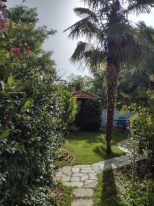 a garden with a palm tree and a stone path at Villa by the river near meteora in Tríkala