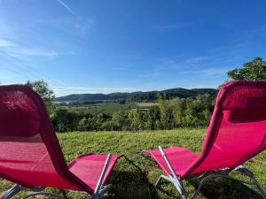 dwa różowe krzesła siedzące na polu trawy w obiekcie Garten mit einzigartigem Panoramablick UG - nahe Bodensee und Messe w mieście Tettnang