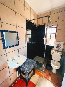 a bathroom with a sink and a toilet at Casa Bravo - Pilgrims Palace in Pretoria