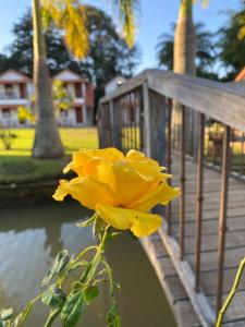 una flor amarilla está creciendo en un puente en Chalés Jatobá, en Prados