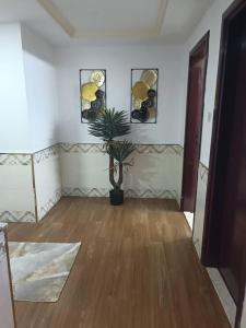 una stanza con una pianta in vaso nell'angolo di una stanza di شقة كبيرة وفخمة large and luxury two bedroom ad Ajman