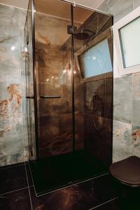 una doccia con porta in vetro in bagno di Famous Chalet Dragomirna a Dragomirna