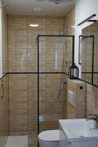uma casa de banho com um chuveiro, um WC e um lavatório. em Siwy Dom em Turawa