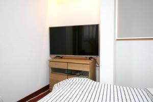 Televízia a/alebo spoločenská miestnosť v ubytovaní Panda Stay Okayama