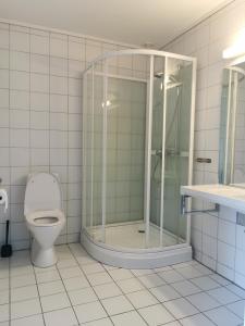 a bathroom with a shower and a toilet at Bøvervegen 19 Appartment nr 9 in Bjorli