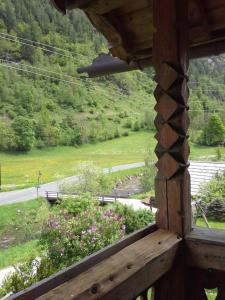 Príroda v okolí apartmánu