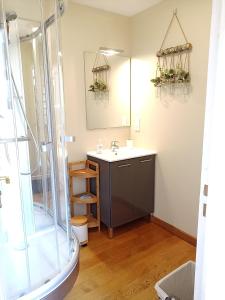 a bathroom with a sink and a shower at La Tentonniere in Saint-Michel-de-Montjoie