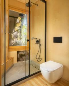 a bathroom with a glass shower with a toilet at Κonitsa Gefyri hotel in Konitsa