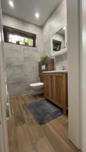 Bórówka في ويسولي: حمام مع مرحاض ومغسلة ومرآة