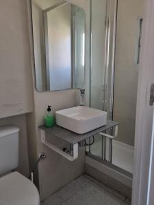 ein Badezimmer mit einem Waschbecken, einem Spiegel und einem WC in der Unterkunft Hostal san luis in San Luis de Sabinillas