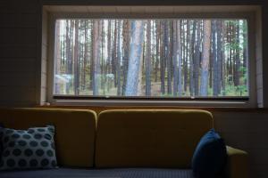 a couch in front of a large window with trees at Holiday home near sea beach & pine forest in Riga