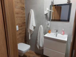 Kúpeľňa v ubytovaní Apartamenty CEDE Zakopane + 37 fotografií