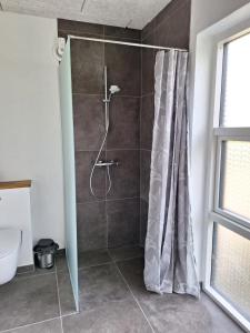 uma casa de banho com chuveiro e cortina de chuveiro em EngholmBB em Odense