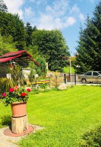 Zahrada ubytování CASA de VIS
