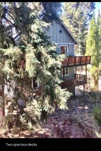 Gallery image of Hallelujah Forest in Big Bear Lake