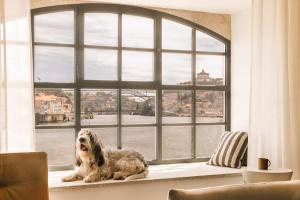 和主人一起入住The Rebello Hotel & Spa - Small Luxury Hotels Of The World的宠物