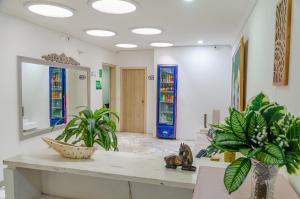 卡塔赫纳Casa Franco Hotel的大堂设有植物和彩色玻璃窗