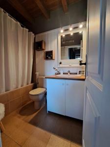 ein Badezimmer mit einem WC, einem Waschbecken und einem Spiegel in der Unterkunft Apartamento con encanto in Pla de l'Ermita