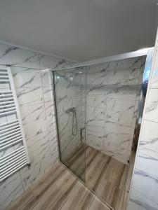 a bathroom with a shower with a glass door at Cabana Tudor in Aiud