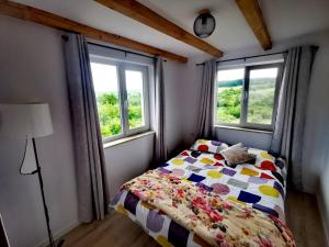 ein Schlafzimmer mit einem Bett und zwei Fenstern in der Unterkunft Cabana Tudor in Aiud