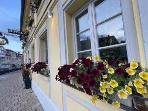 Fotografie z fotogalerie ubytování Hotel Zum Lamm v destinaci Ansbach + 44 fotografií