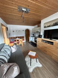Televízia a/alebo spoločenská miestnosť v ubytovaní Appartement Bergblick