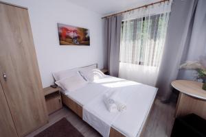 Fotografie z fotogalerie ubytování Complex Stoican v destinaci Băile Herculane