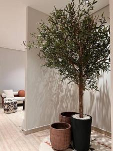 a potted tree sitting in a living room at Luxury apartment with self check-in in Riyadh