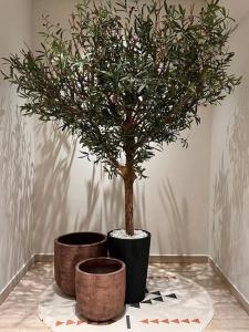a potted tree in two pots on a table at Luxury apartment with self check-in in Riyadh