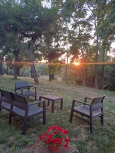 Montarice的住宿－Casa Olea，一群长椅,在一片田野上,伴随着日落