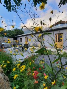 a garden with flowers in front of a building at Apartments Gio-Nika in Stepantsminda