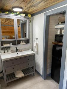 a bathroom with a sink and a mirror and a refrigerator at The Whispering Elms Motel in Baker