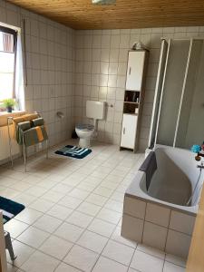 a bathroom with a bath tub and a toilet at Fewo mit Burgruinenblick in Runding