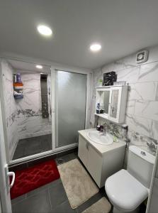 a bathroom with a toilet and a sink and a shower at Vikendica Teodora - Zvornik in Zvornik +29 photos