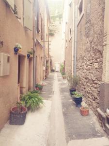 an alley with potted plants on the side of a building at Maison Ellie, Pézenas centre in Pézenas
