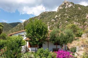 Γενική θέα στο βουνό ή θέα στο βουνό από  αυτή η παραθεριστική κατοικία