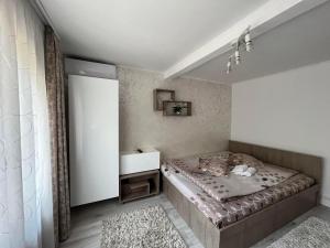 Gallery image of Pensiunea Aby in Sovata