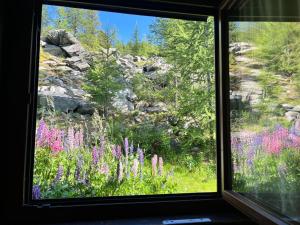 ein Fenster mit Blick auf ein Blumenfeld in der Unterkunft Cervinia Studio in Breuil-Cervinia