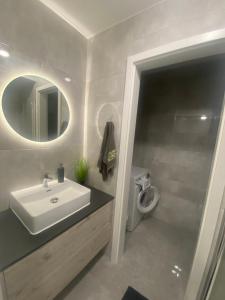 ein Badezimmer mit einem Waschbecken, einem Spiegel und einem WC in der Unterkunft Lake View Apartman in Hajdúszoboszló