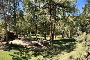 Um jardim em Doodlebug Ranch, Historic Sedona Homestead