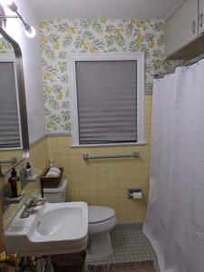 a bathroom with a toilet and a sink and a window at Mid Century Style Cottage Near Historic Downtown in Eustis