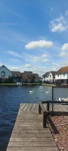 a dock with swans in the water next to houses at Rosehill Beach in Hemsby