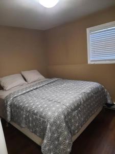 a bedroom with a bed with a gray comforter and a window at Lovely 2 Bedroom apartment close to Avalon Mall in St. John's