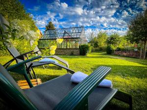 un par de sillas de jardín en un patio con un invernadero en Storchenhof Teningen, en Teningen
