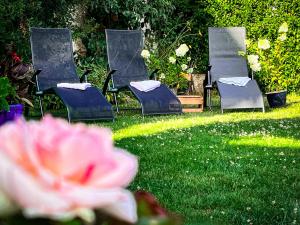 three chairs sitting in the grass with a flower at Storchenhof Teningen in Teningen