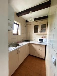 a small kitchen with a sink and a microwave at Vila Alunis 2 in Bran +26 photos