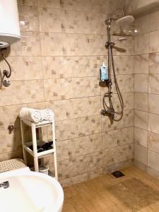 a bathroom with a shower with a toilet and a sink at Bar Aperol Apartment in Bar